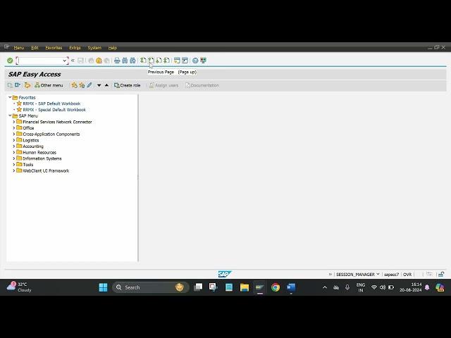 SAP easy access screen
