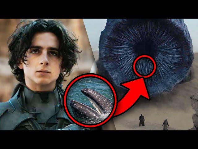 DUNE Trailer Breakdown! Easter Eggs & Details You Missed!
