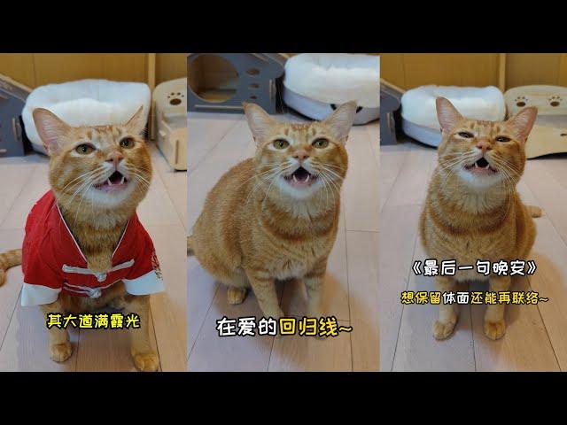 Chinese Singing Cat (Baozi包子) Compilation | Douyin TikTok China