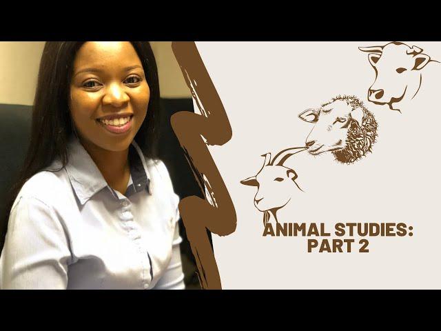 Grade 10 | Animal Studies Part 2 | cattle, sheep and goat breeds | Agricultural Sciences