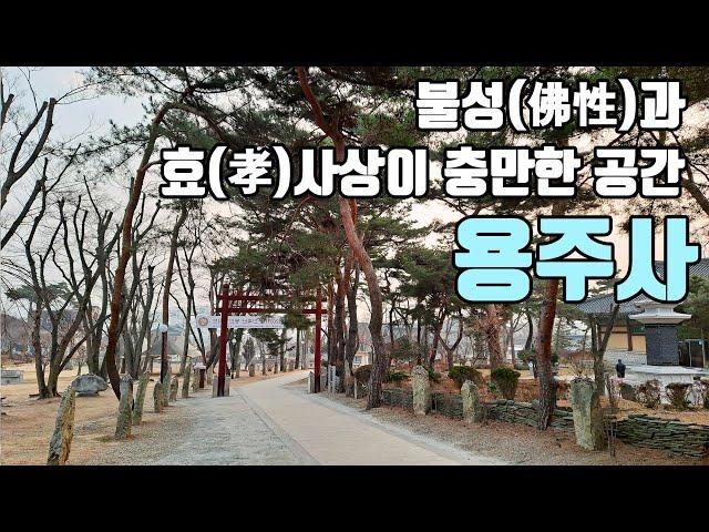 불성(佛性)과 효(孝)사상이 충만한 공간, 화성 용주사 [좋은절 #17 / 경기도사찰/ 화성시가볼만한곳]