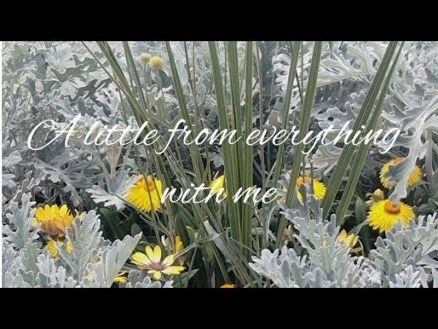 A little from everything with me | Trip to Calgary, Canada |