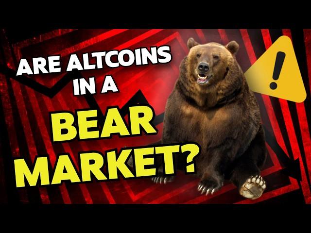 ARE WE BACK IN A BEAR MARKET?! 