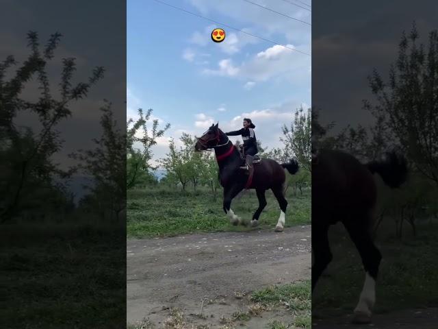 ot #music #remix #automobile #rap #horse #up #rek #bmw #equestrian #shortvideo #tiktok #shorts #time