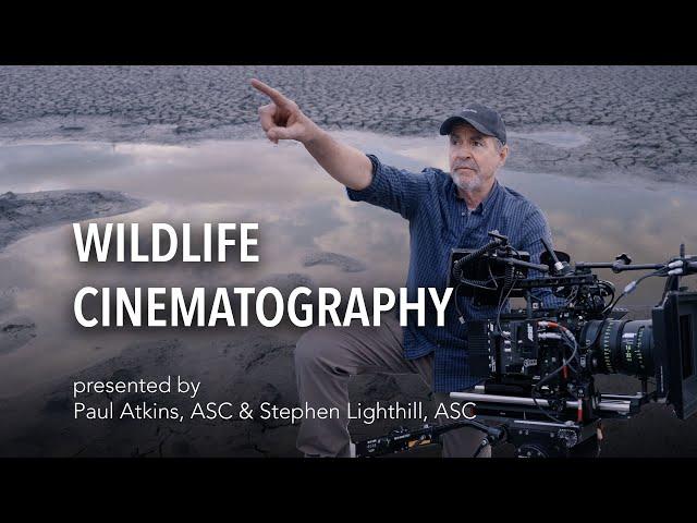 Wildlife Cinematography Course – Trailer