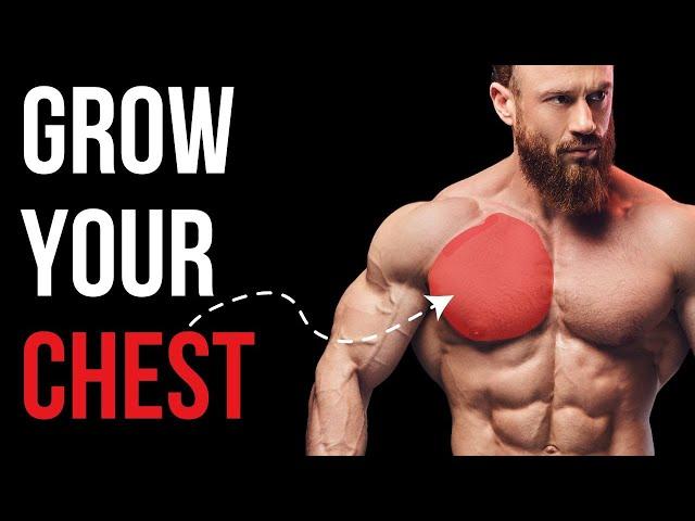 The Ultimate Pec Training Guide: The Anatomy of Lifting