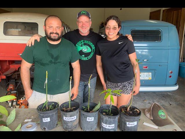 Avocado Grafting Class