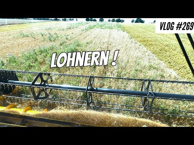 Vlog #269 The first batch of wheat! Top or flop?