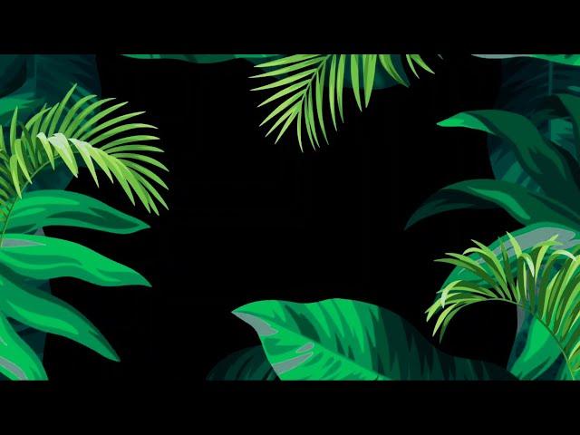 Top 05 Tropical Leaves Black Screen VFX FX Effects HD