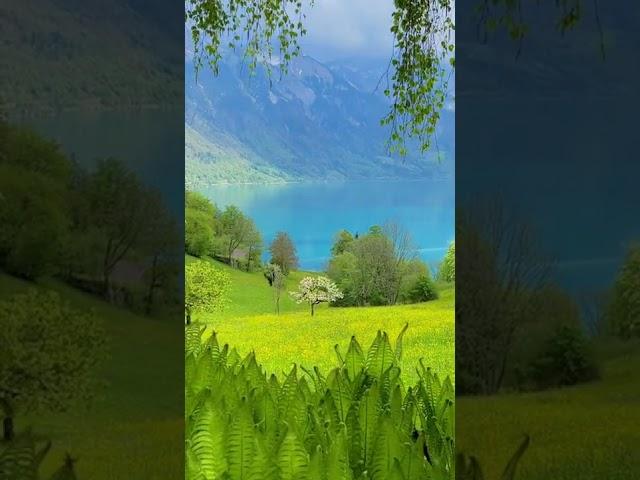 The hidden beauties in Switzerland 