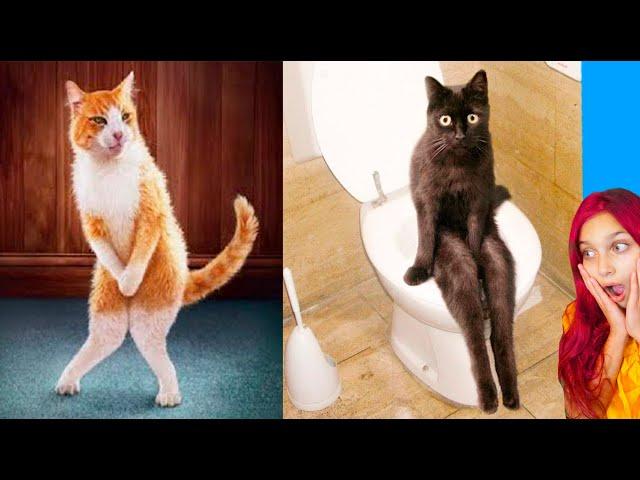 СМЕШНЫЕ КОТЫ СЛОМАЛИ ТИКТОК  Коты и собаки! НЕ ЗАСМЕЙСЯ ЧЕЛЛЕНДЖ Funny Cats TikTok Валеришка