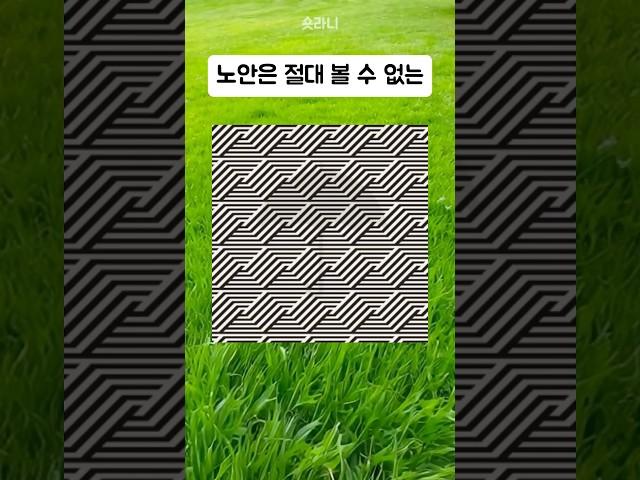 노안은 절대 볼 수 없는 그림이라고? 시력나이 테스트