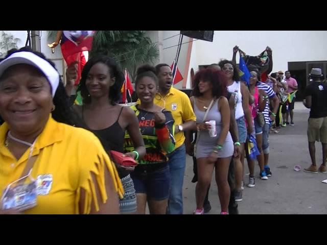 Conga Line - Tampa Carnival 2015