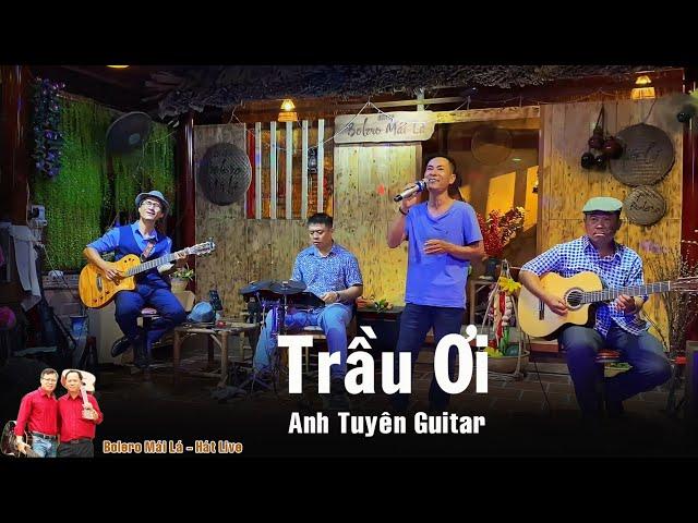 Trầu Ơi | TG Thế Hiển | Anh Tuyên Guitar đến giao lưu cùng Bolero Mái Lá - hát live