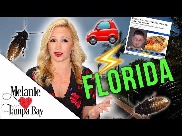 Worst Things About Living in Florida  Bugs, Severe Weather, Crazy News | MELANIE ️ TAMPA BAY