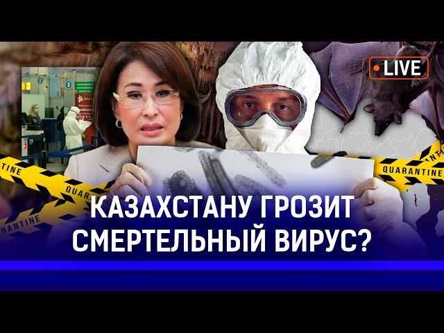 Насколько опасен вирус Марбурга? Как определить симптомы вируса?