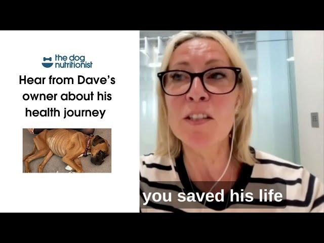 The power of nutrition: Dave the Boxer's health transformation