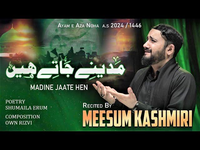 New Noha 2024 | Meesum Kashmiri | Madine Jate Hen | Arbaeen Noha | Bibi Zainab Noha | Madina Noha