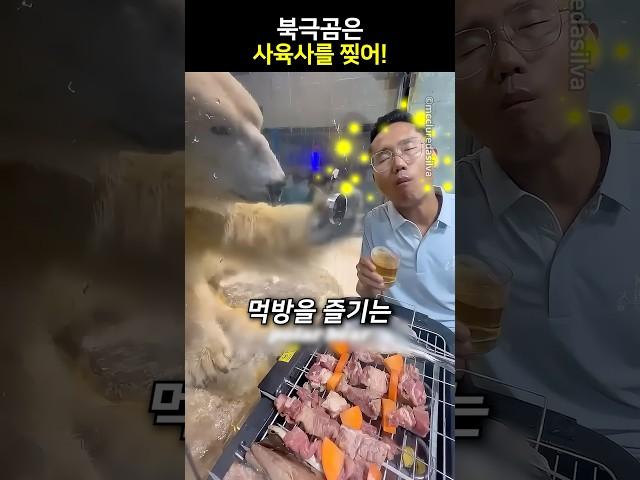 북극곰은 사육사를 찢어!
