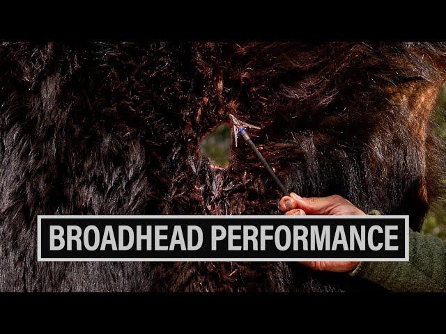 BROADHEAD PERFORMANCE | WHAT WE ARE USING FOR 2024 ️ EP. 846