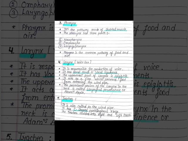 Human Respiratory System Short Notes, Pharynx ,Trachea ,Lungs ,  #shorts #youtubeshorts #status 