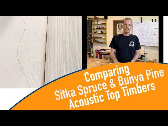 Comparing Sitka Spruce & Australian Bunya Pine Acoustic Guitar Top Timbers