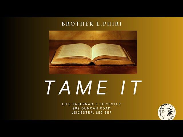 Tame It - Brother Phiri - 30/10/2024