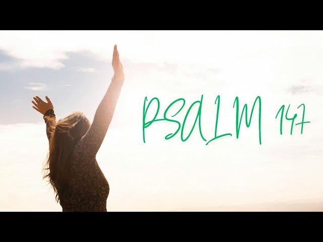 Psalm 147 | Lyric Video | Loreena Murray | Shpendi Zenki