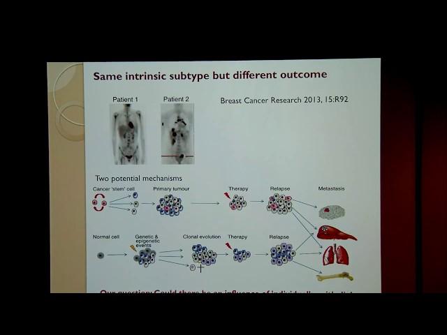 VTLSS: Evolving Concepts of Breast Heterogeneity and Impacts on Tumor/Metastasis Characterization