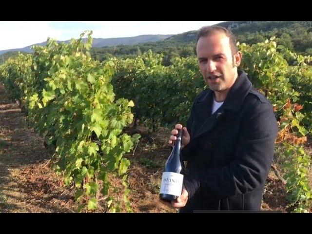 Inventa le Roc : An iconic red Luberon wine from Marrenon