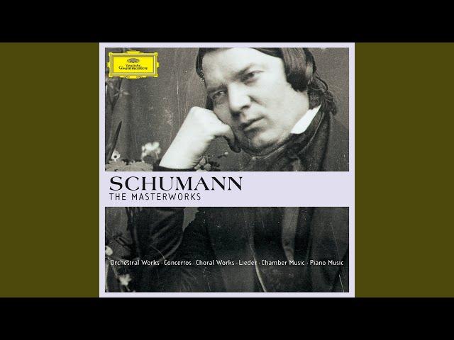 Schumann: Carnaval, Op. 9: 5-6. Eusebius-Florestan