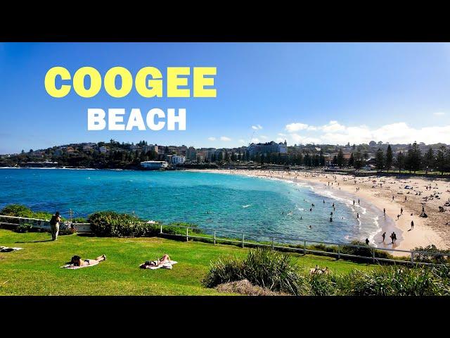 Sydney Australia Beach Walk - Coogee Beach Tour | Gorgeous Beach 4k Video #explore #travel #beach