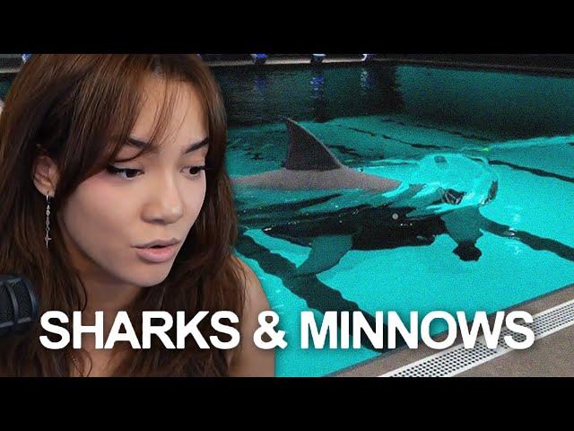 Cinna Plays Sharks & Minnows Horror Game