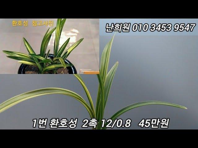 12월25일 2차 소개합니다.