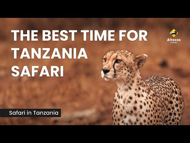 The Best Time for Tanzania Safari | Altezza Travel