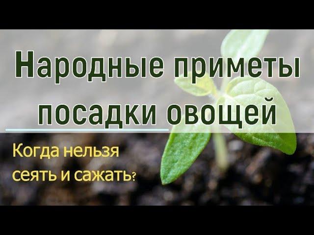 НАРОДНЫЕ ПРИМЕТЫ ПОСАДКИ ОВОЩЕЙ