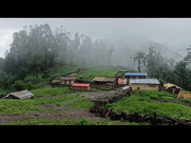 Naturally Most Beautiful Village Life into Rainy Day||Best Rural Life in Barekot Village||