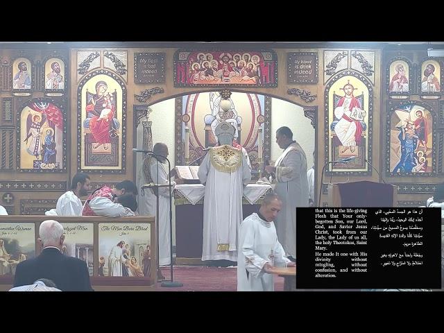 St Luke ACOC Live Stream