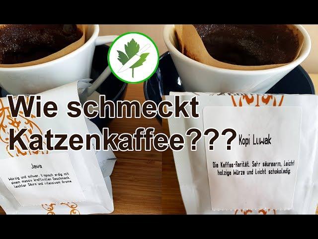 Kopi Luwak Test - Wie schmeckt der teuerste Kaffee? #Katzenkaffee