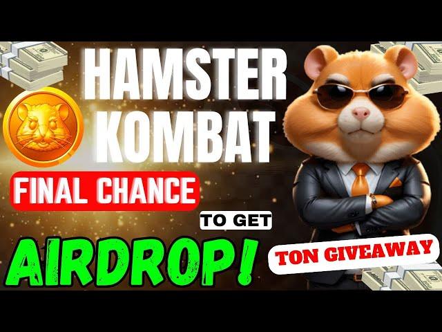 HAMSTER KOMBAT: FINAL AIRDROP BATTLE! Don’t Miss Out! HAMSTER KOMBAT #hamsterkombat