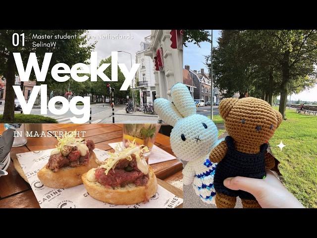 Netherlands Vlog #1 | Getting a BSN Number, Markets, Buying a Bike, Cooking with Fresh Ingredients