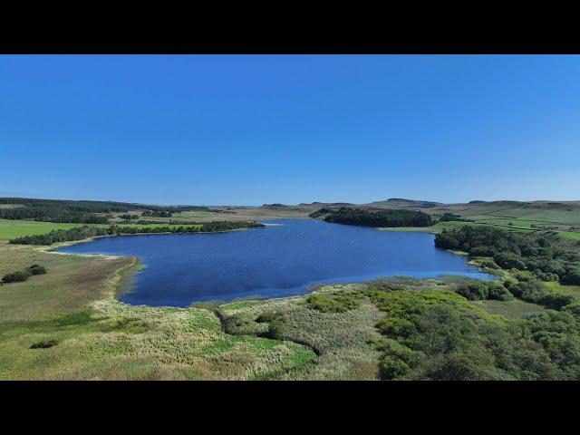 Hadrian's Wall: Recovering Nature