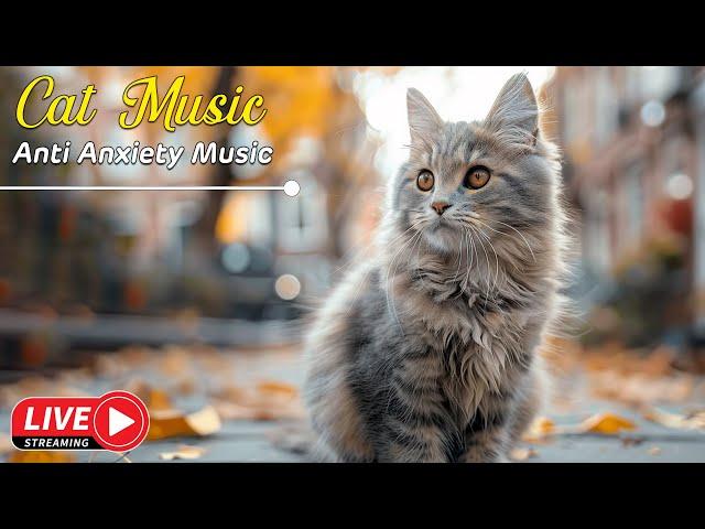 Sleep Music for Cats  Soothing Feline Music - Perfect for a Calm and Happy Cat