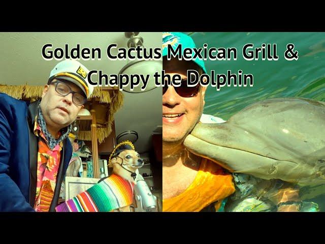 Golden Cactus & Chappy the Dolphin #tacotuesday