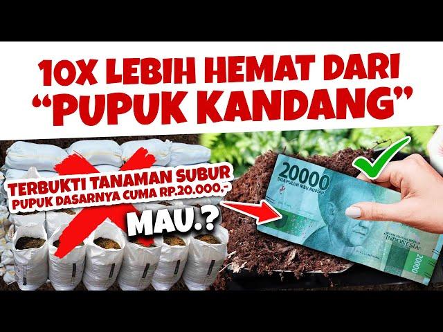 PUPUK DASAR MODAL RP 20.000 SAJA.!!! 10X LEBIH HEMAT DARI PUPUK KANDANG. MAU.??