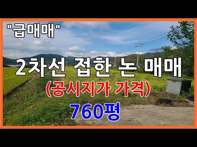 "급매매" 공시지가 가격 / 2차선 접한 논 매매 760평 #밀양 논#밀양부동산#밀양초동면토지#밀양주말농장토지