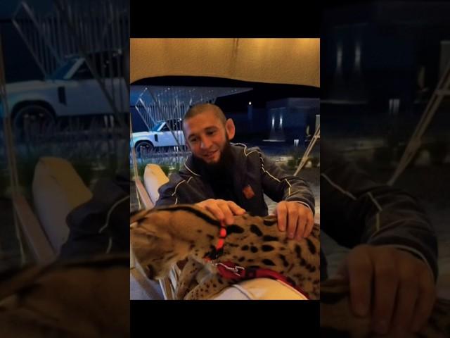 Khamzat chimaev  #ufc #ufcfighter #dagestan #chechen #fypシ゚viral