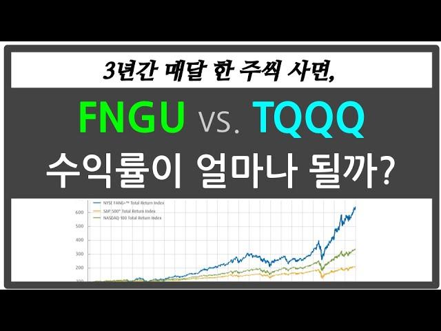 FNGU vs. TQQQ 매달 한 주씩 투자하면 수익률 얼마 나올까?