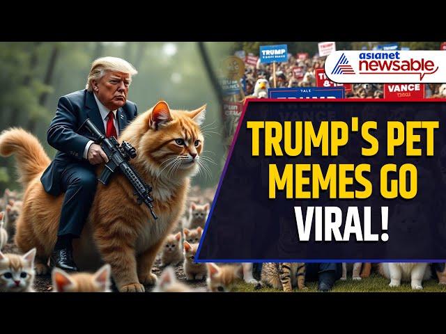 Trump's 'They're Eating Cats' Sparks Hilarious AI Memes | Watch