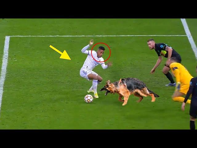 WTF Moments in Football #5